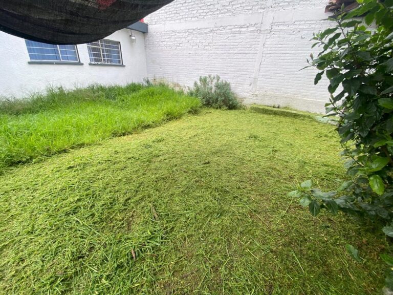 36657 dm garden 768x576