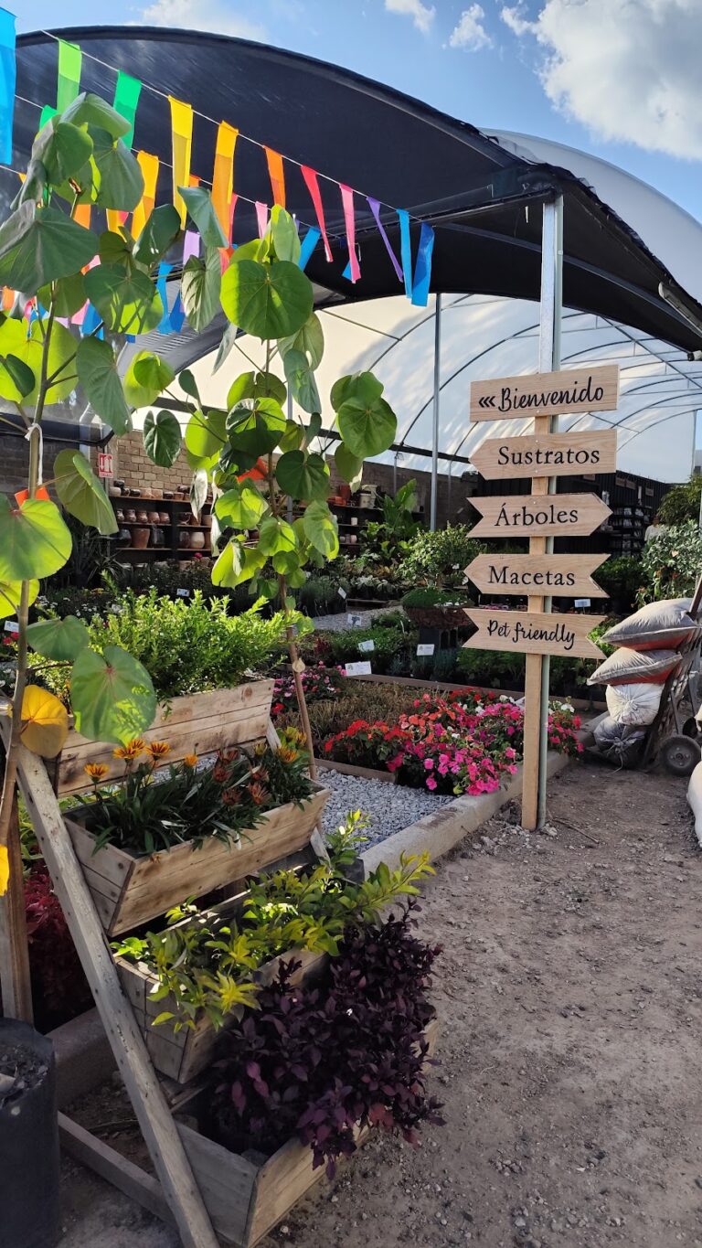 36674 viveros lamas 768x1365