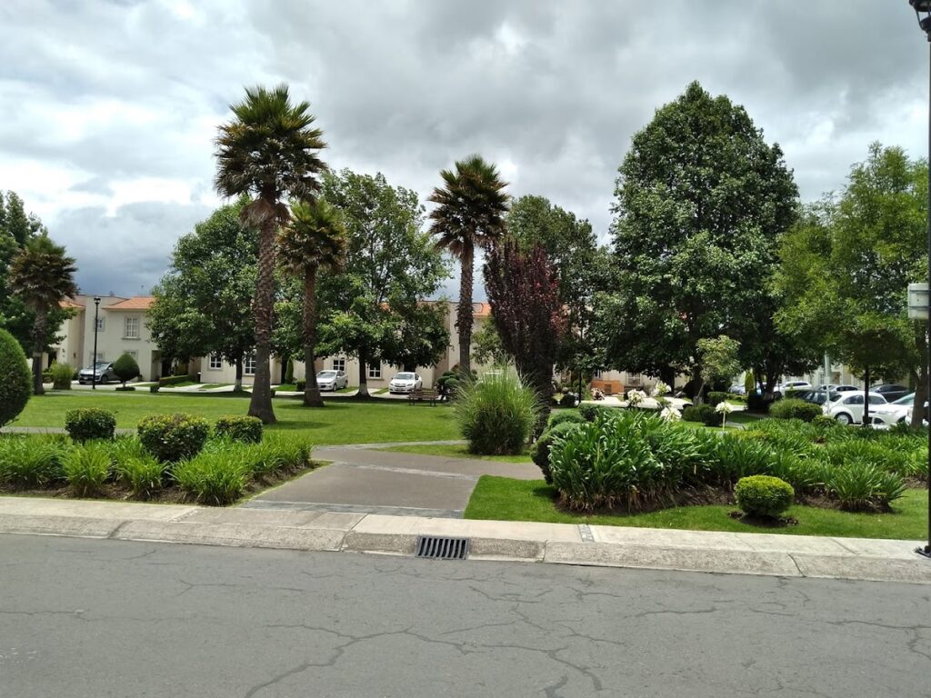 36690 jardineria verde mate jardineros paisajismo 1024x768