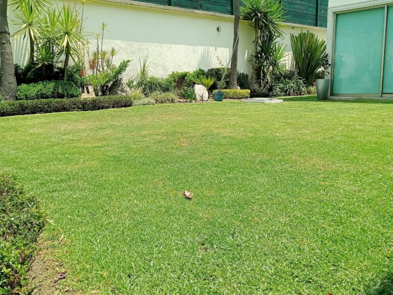 36711 jardify jardineria y paisajismo atizapan 768x576