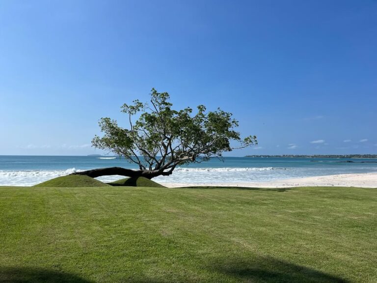 36757 creativa paisaje mexico 768x576