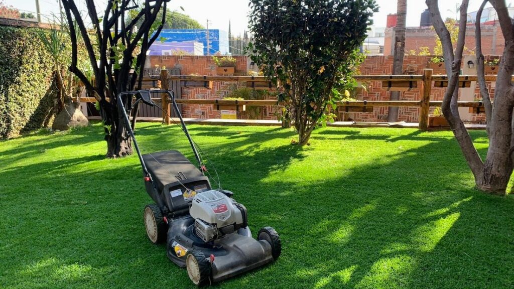 36766 jardineria juarez 1024x576