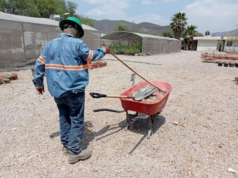 36809 hr jardineria y mantenimiento de areas verdes slp 768x576