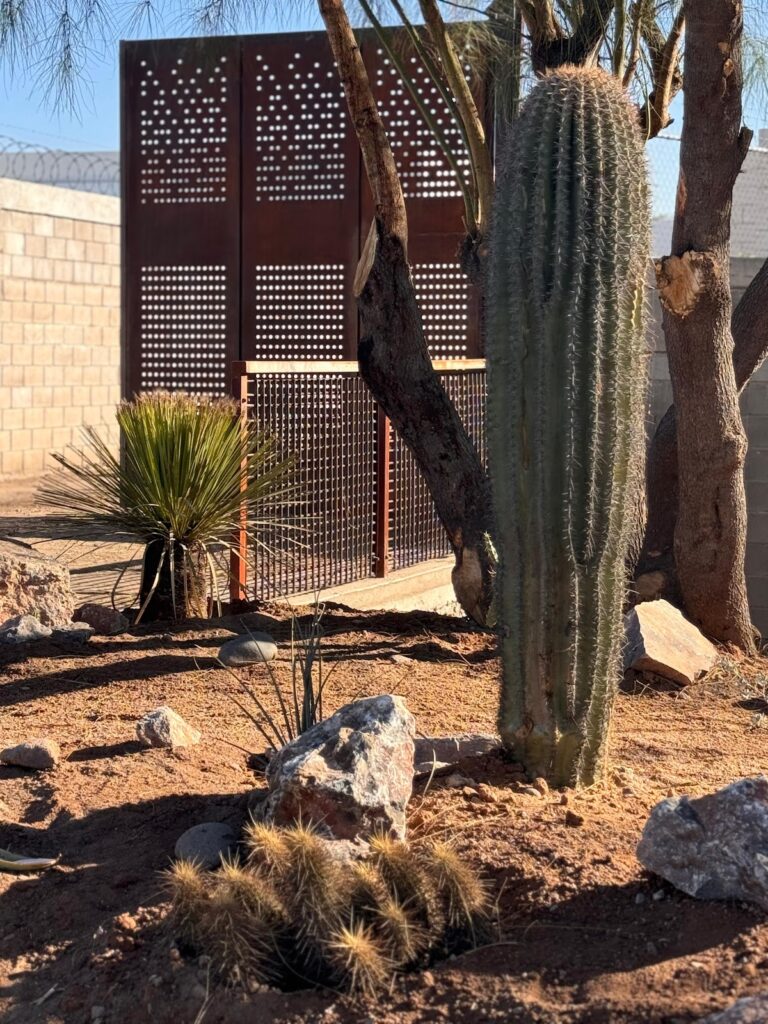 36832 urbanicola 768x1024