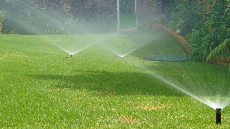 36879 green jardineria 768x432