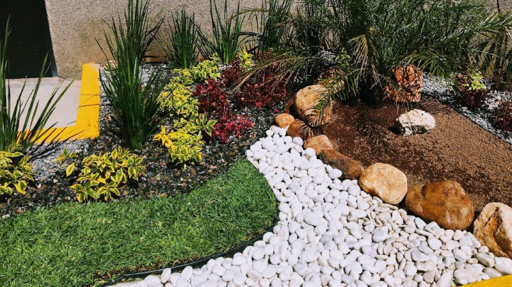 36892 vivero forestal seesarve 1024x575