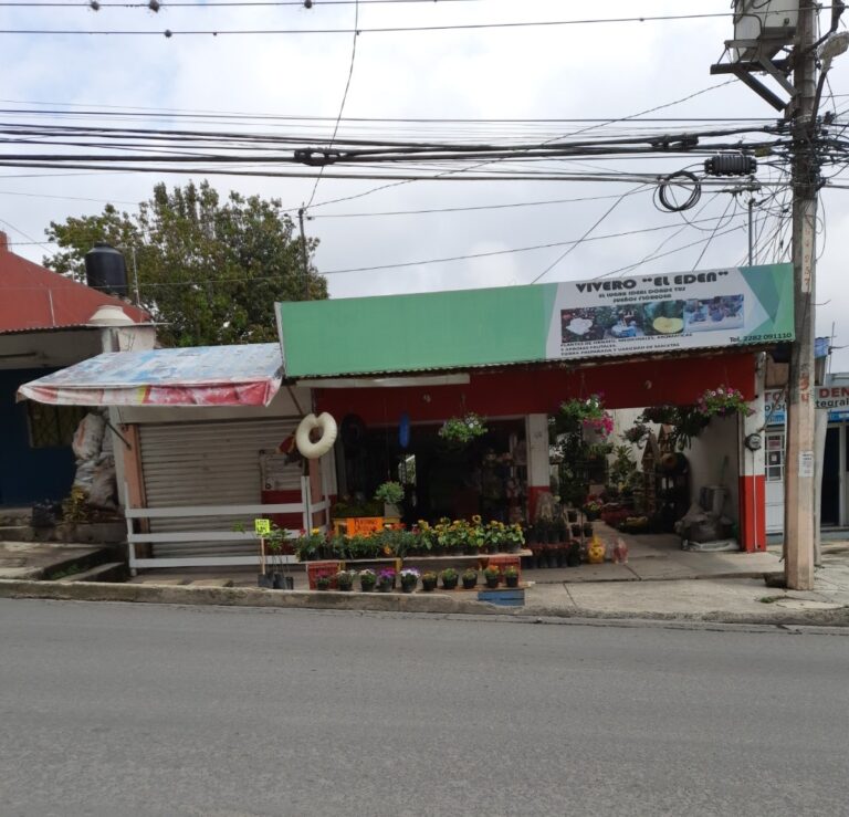 36896 vivero el eden 768x739