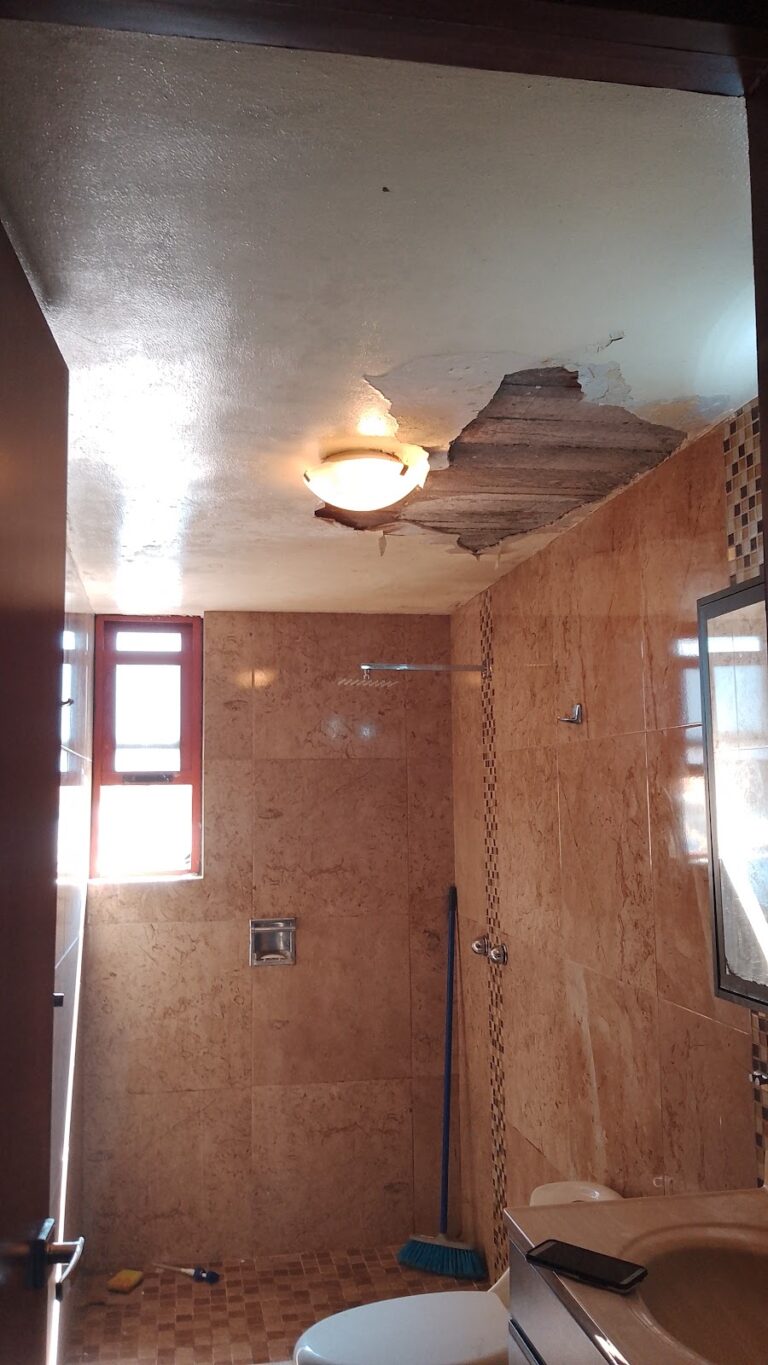 37017 sg decorador de interiores 768x1365