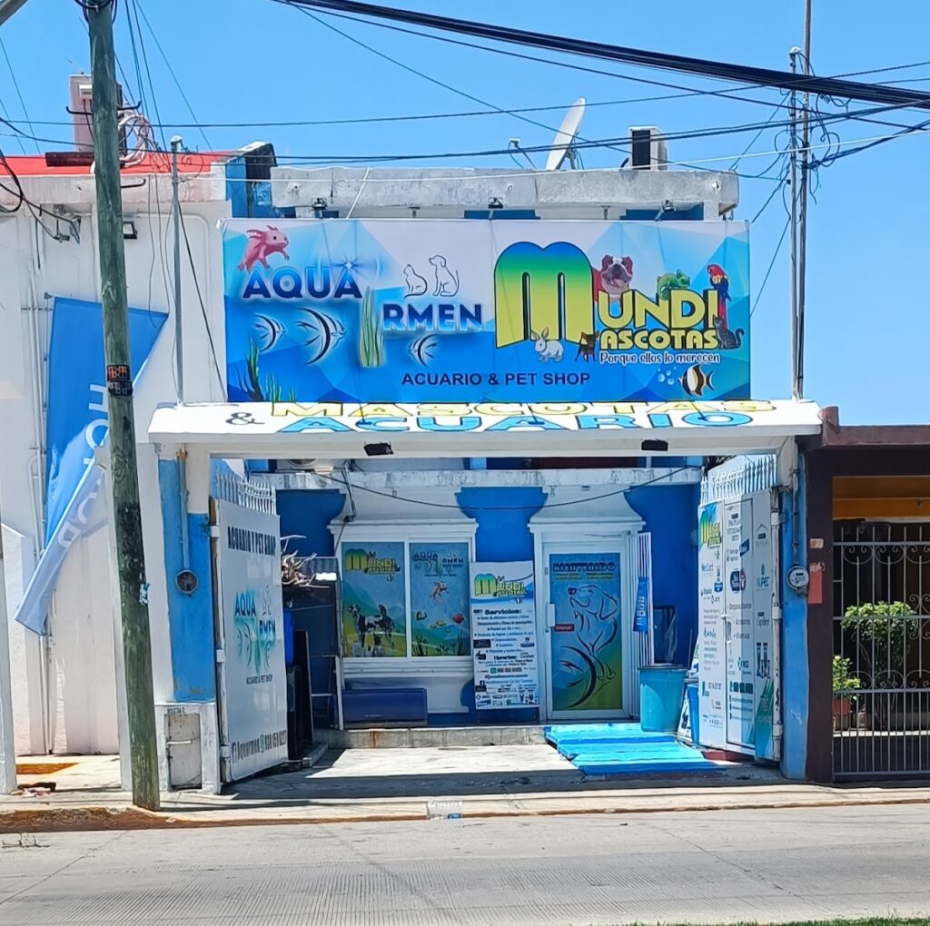 37359 mundimascotas carmen 1024x1020