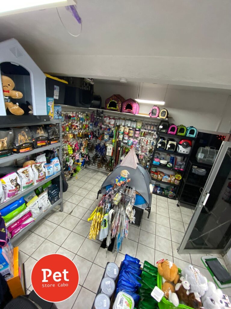 37367 pet store cabo 768x1024