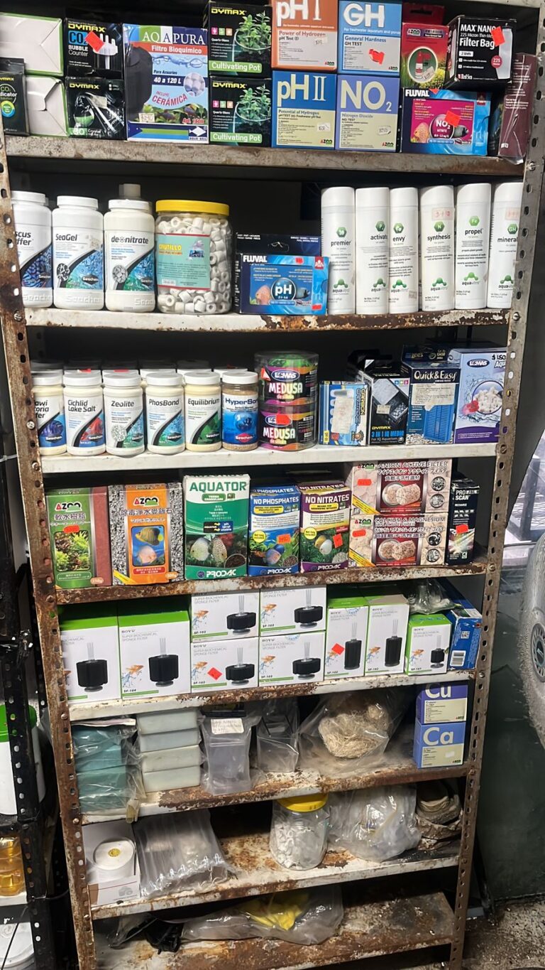 37374 iker peces y plantados 768x1365