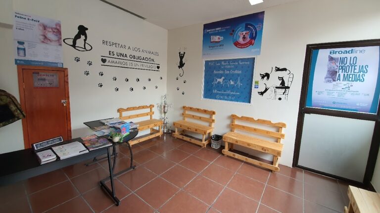 37378 veterinaria mascotas san cristobal 768x431