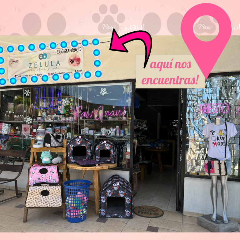 37391 paw guau 768x768