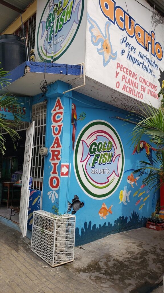 37407 goldfish acuario y mascotas 576x1024