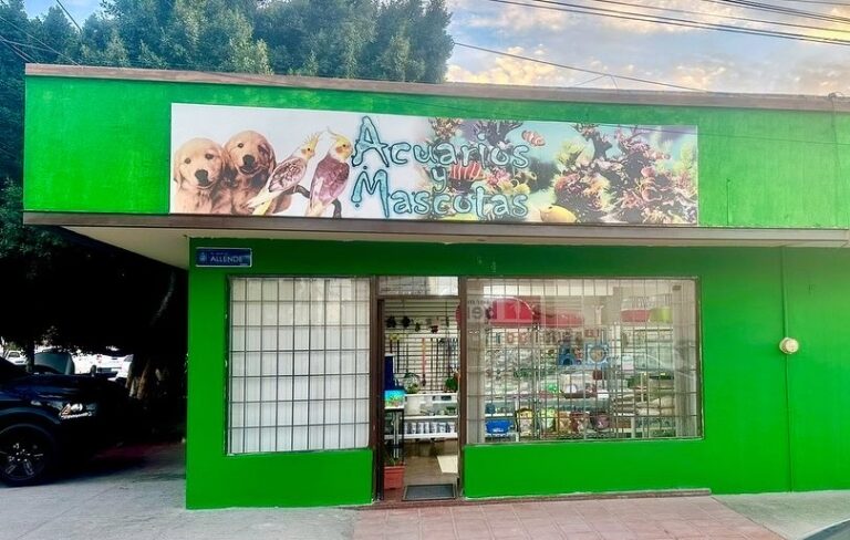 37432 pet it 768x488