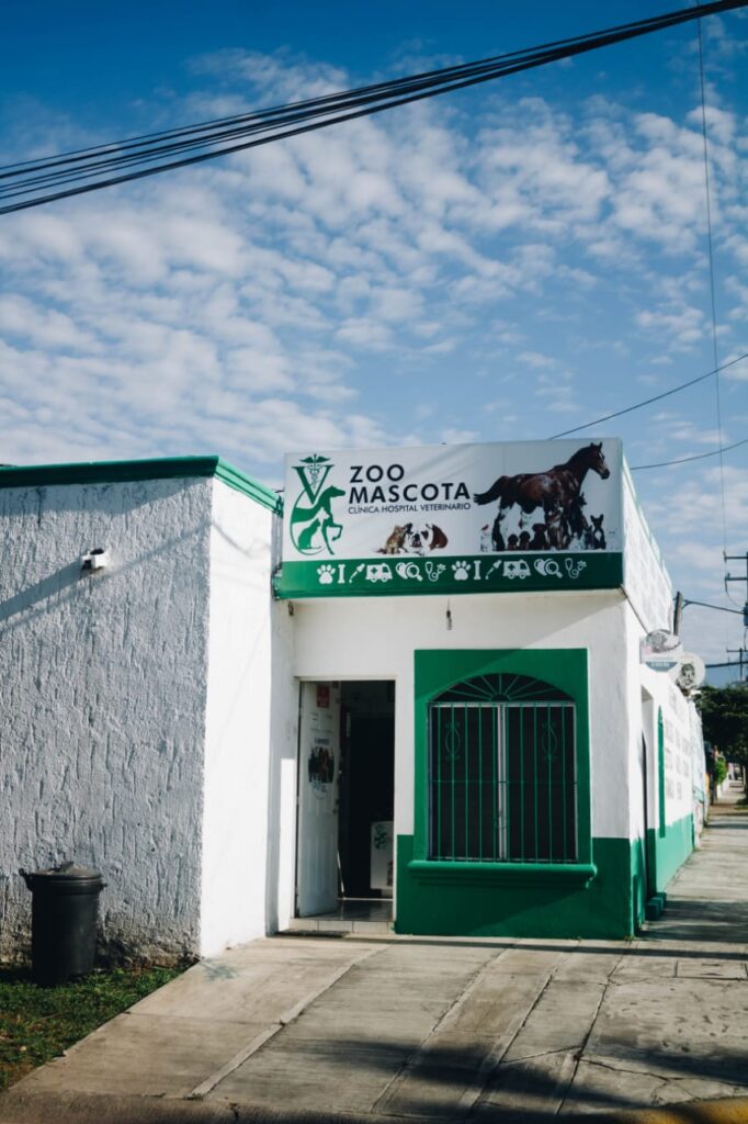 37472 zoo mascota colima 682x1024