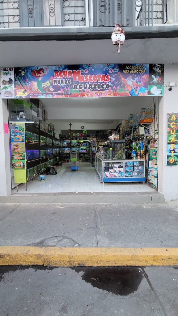 37533 mundo acuatico 576x1024