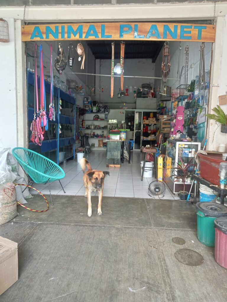 37544 animal planet tepic 768x1024