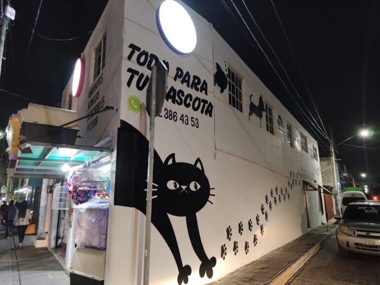 37603 pets land queretaro 768x576