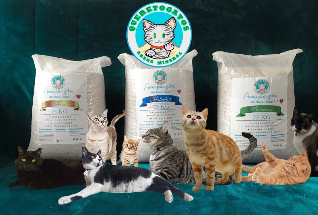 37614 queretogatos 1024x693