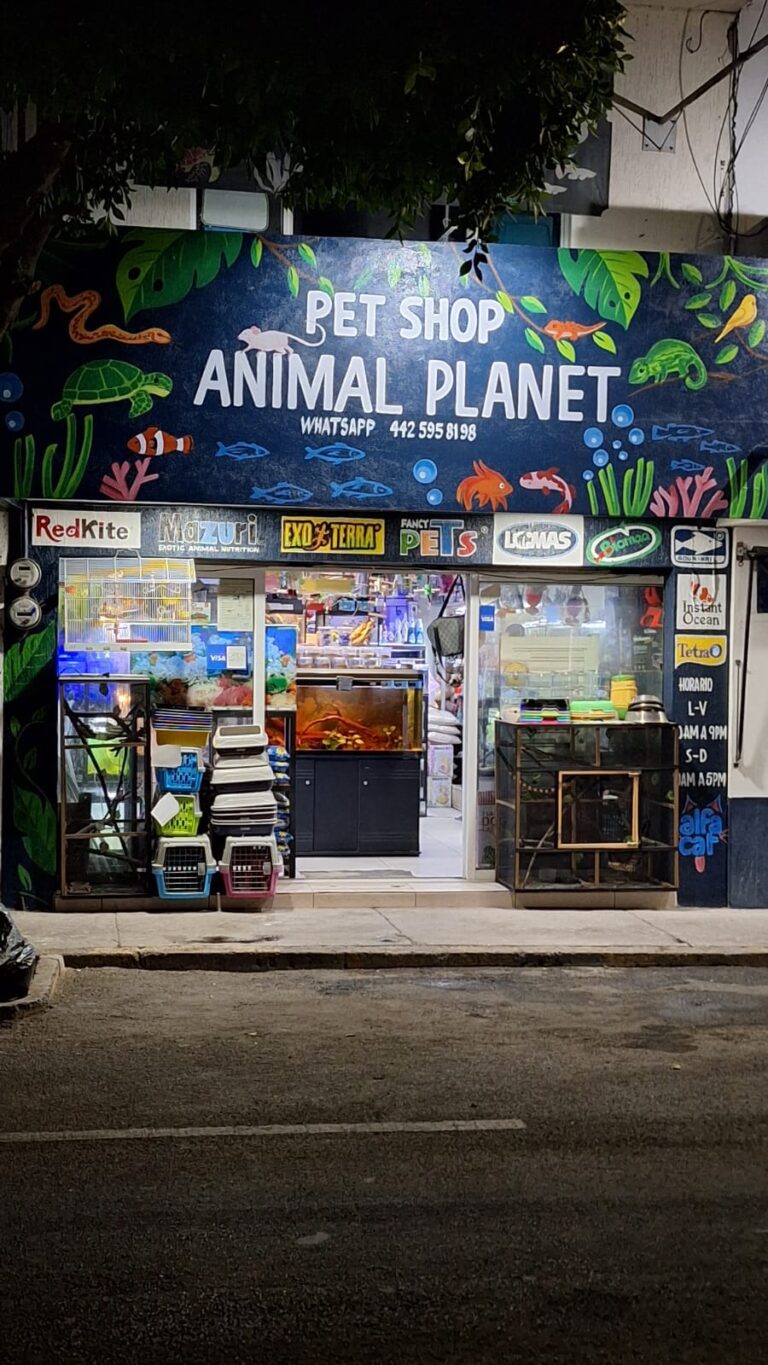 37616 pet shop animal planet 768x1365