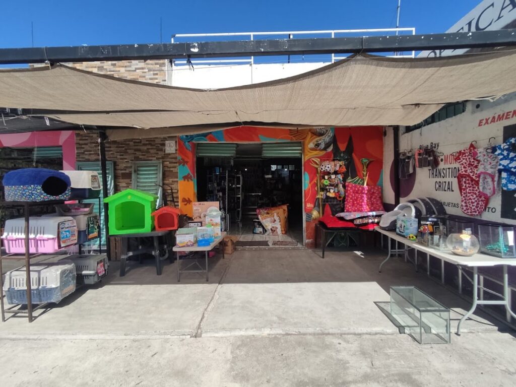 37625 anubis pet emporium✨ 1024x768