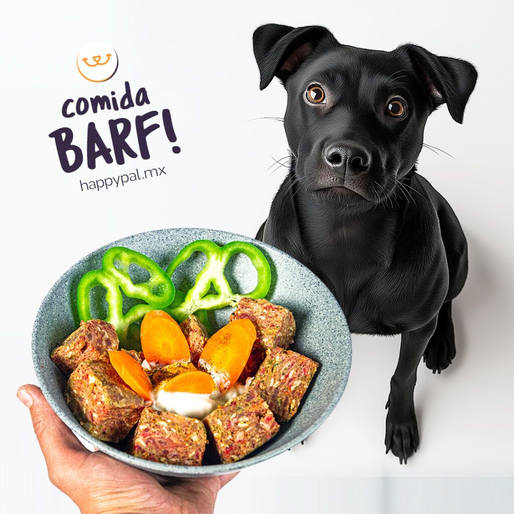 37634 happy pal tulum dieta barf para perros. comida cruda natural 1024x1024