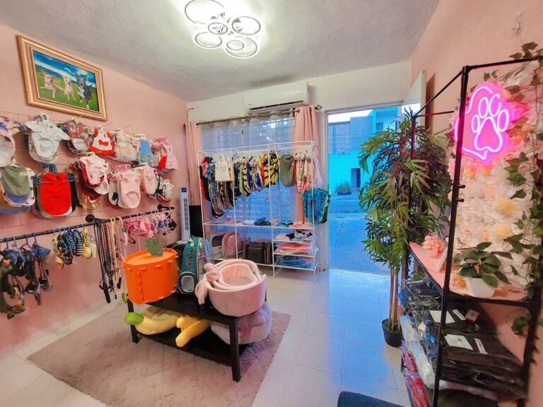 37717 michiguau valladolid 768x576