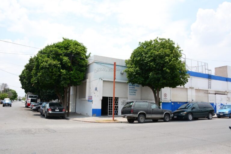 38538 lava facil 768x512