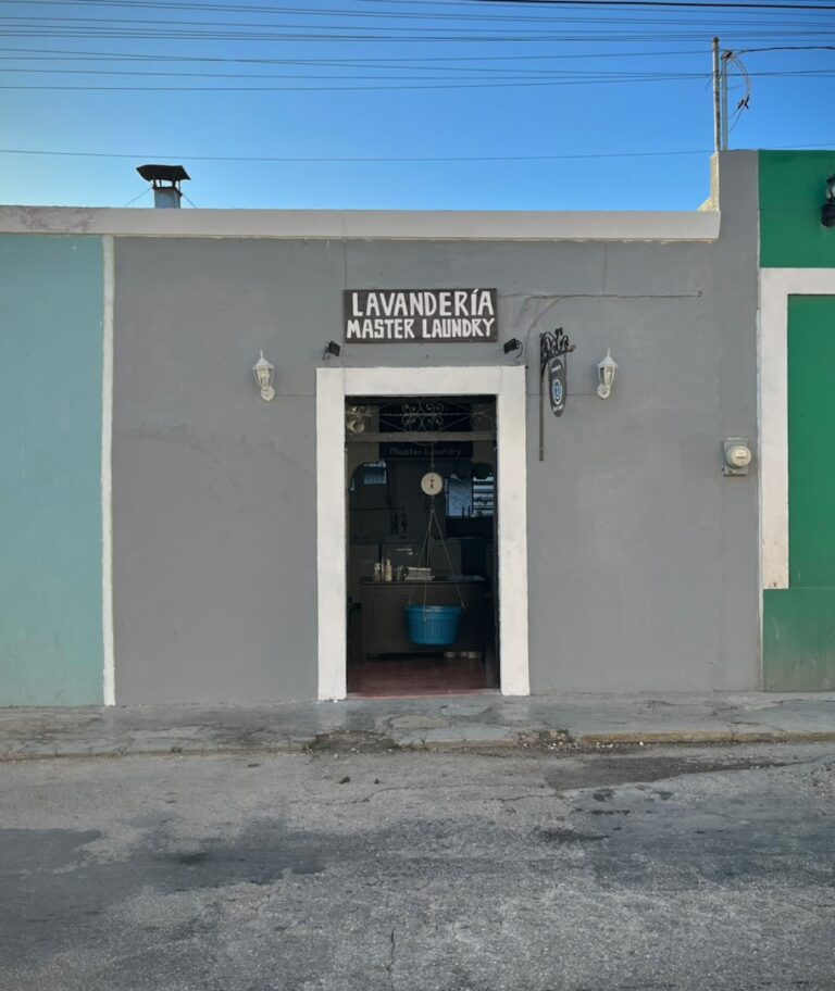 38814 lavanderia master laundry 768x912