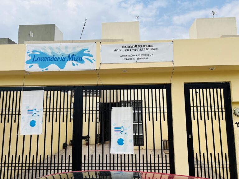 39069 lavanderia y tintoreria mizu 768x576