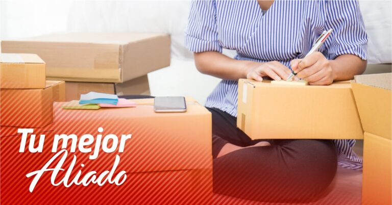 39321 envios primera plus 768x402