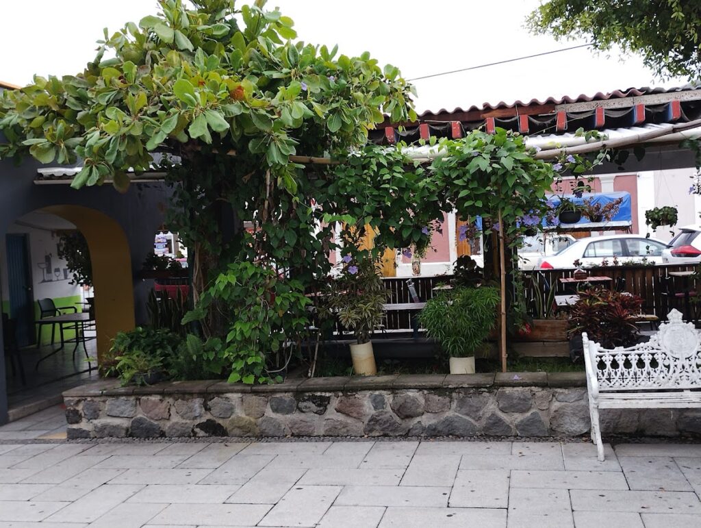 6764 la pimienta el sabor de la cocina 1024x771