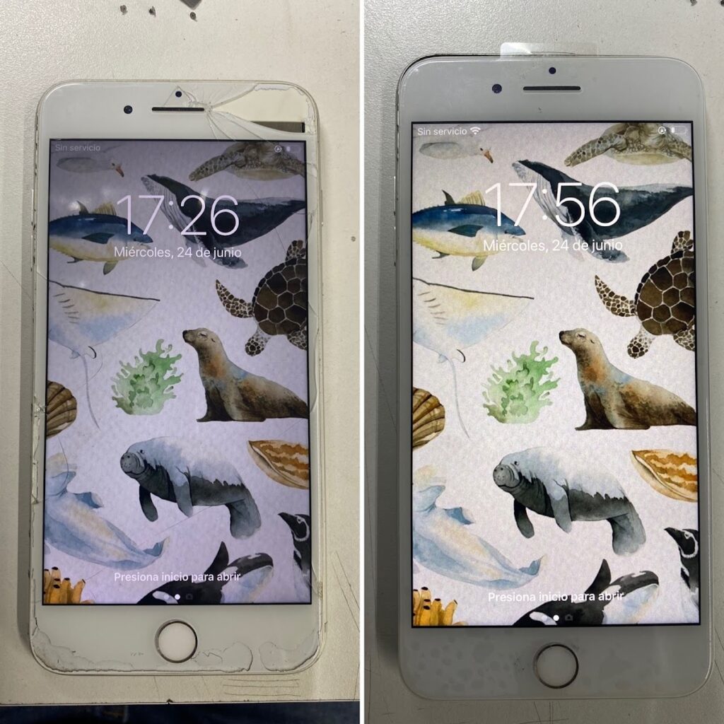 8804 pc hercules 1024x1024