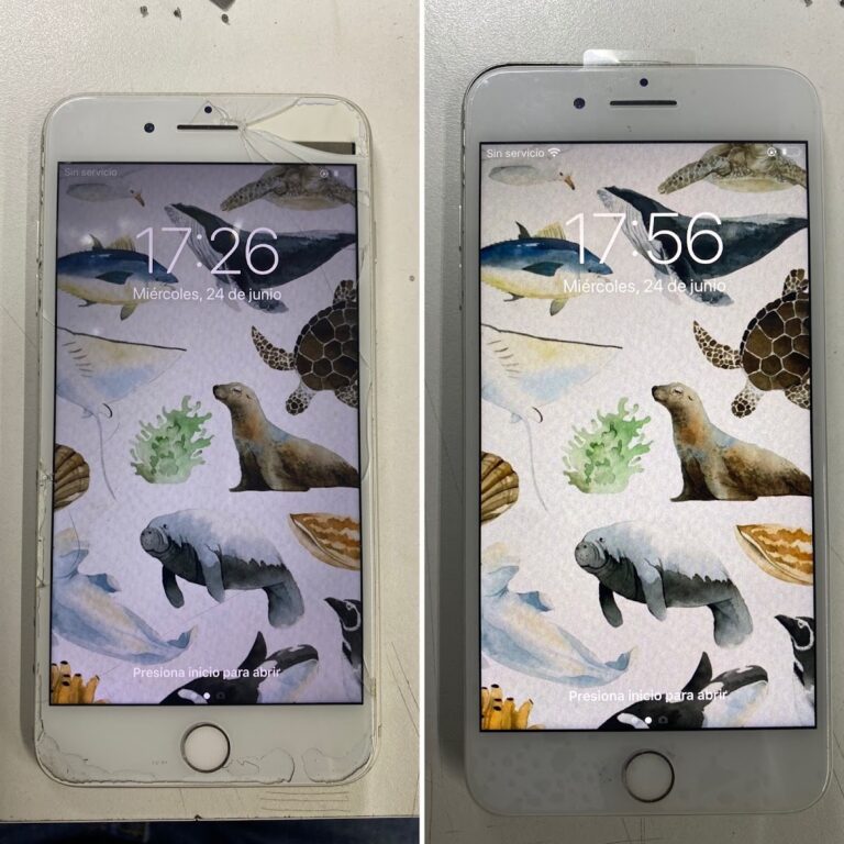 8804 pc hercules 768x768