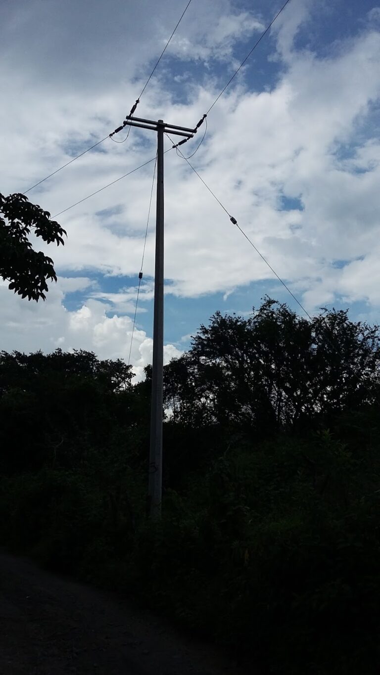 9519 siesa construcciones 768x1365