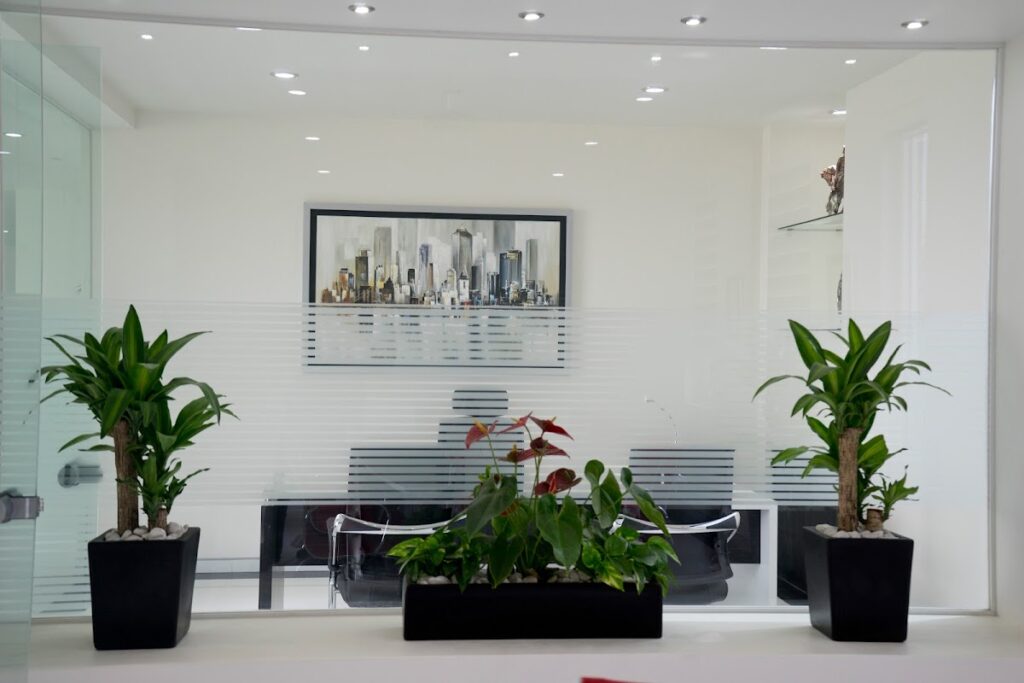 9639 constructora industrial caabsa steel mexico 1024x683