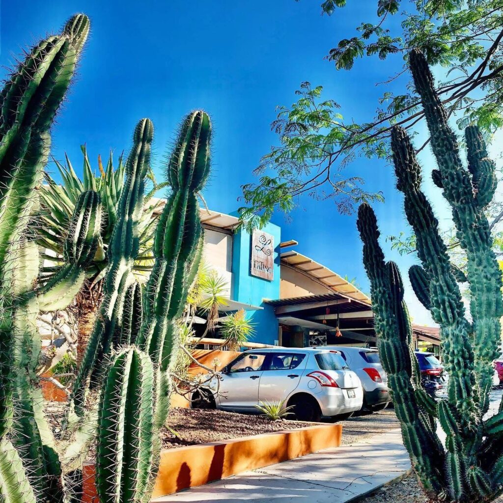 60969beb a427 4c72 92db f3098c2ee4c6 1024x1024