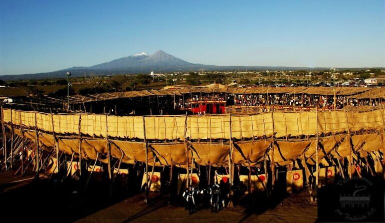 la petatera 1 d748a985e2 768x445