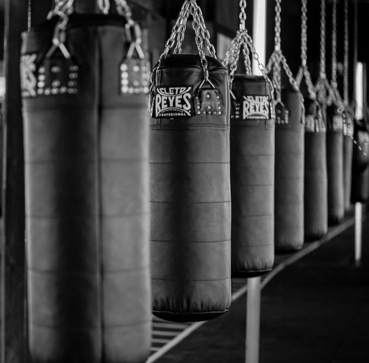 leetx-google-photo-1770165432340-3-1 leetx-google-photo-1770165432340-3-1