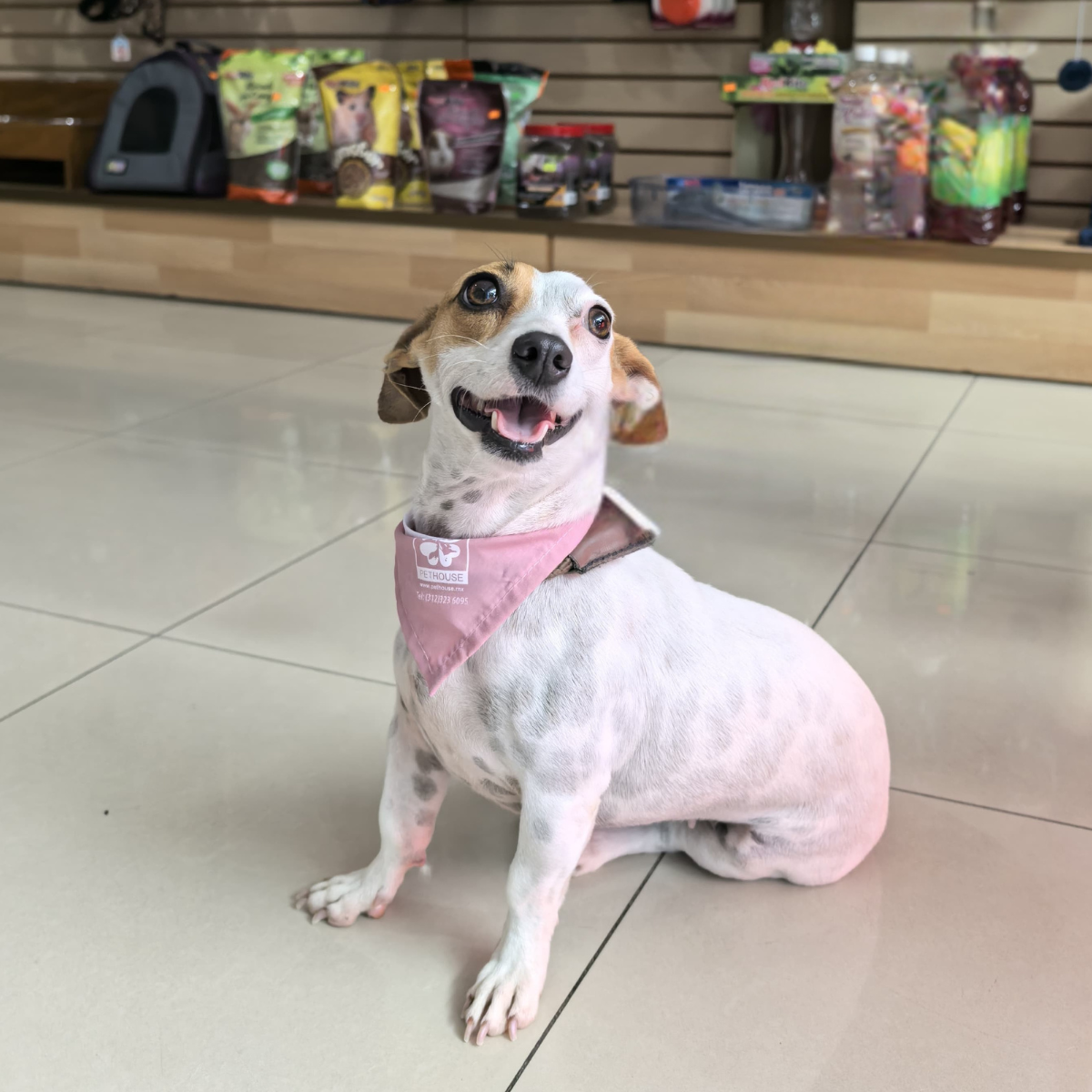 leetx-google-photo-1770169789352-4-1 leetx-google-photo-1770169789352-4-1