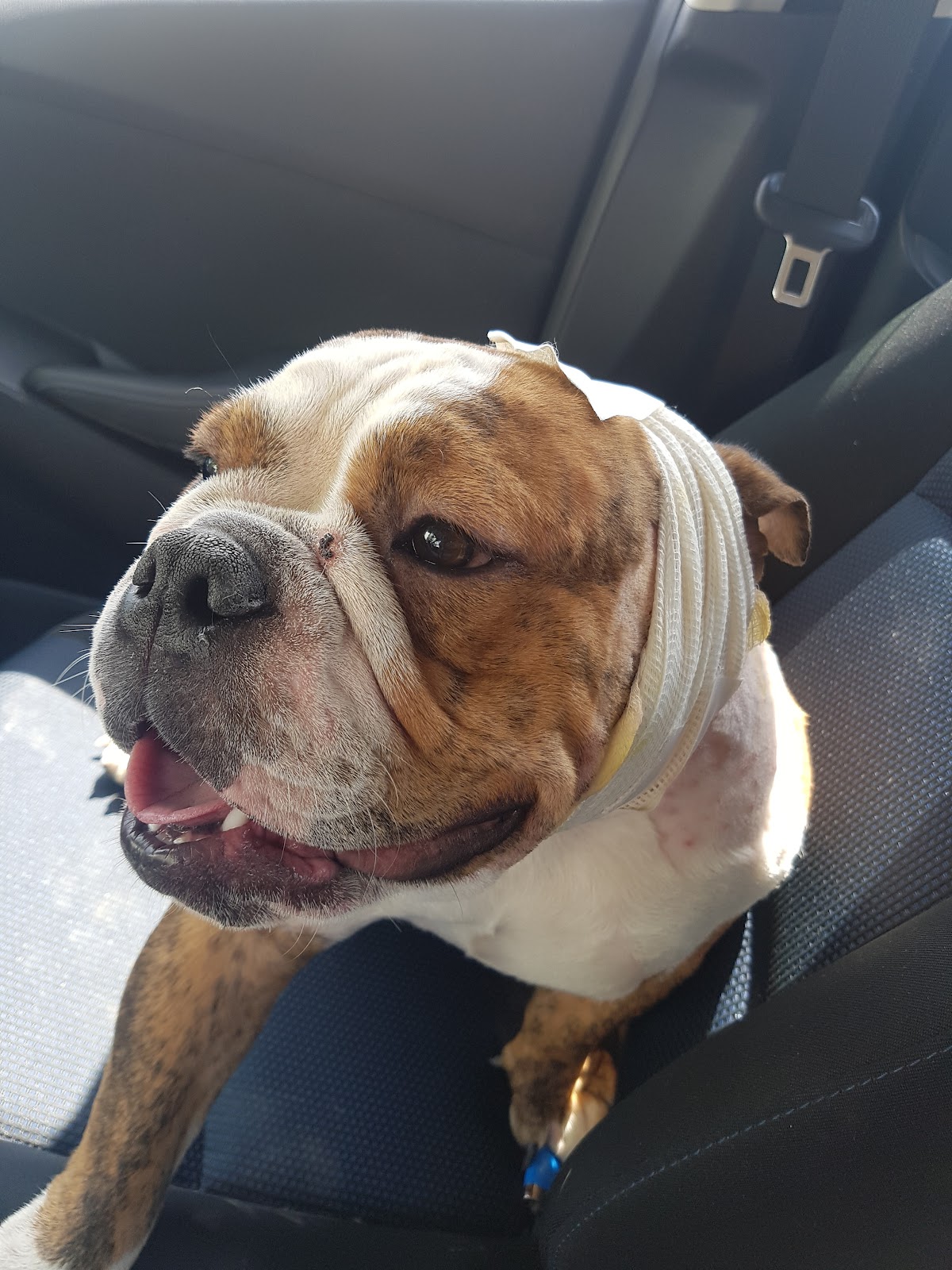 leetx-google-photo-1770169795160-5-1 leetx-google-photo-1770169795160-5-1