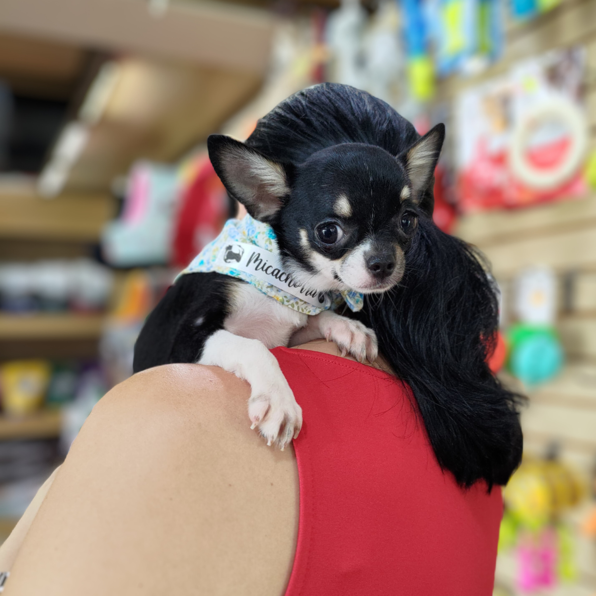 leetx-google-photo-1770169801604-7-1 leetx-google-photo-1770169801604-7-1