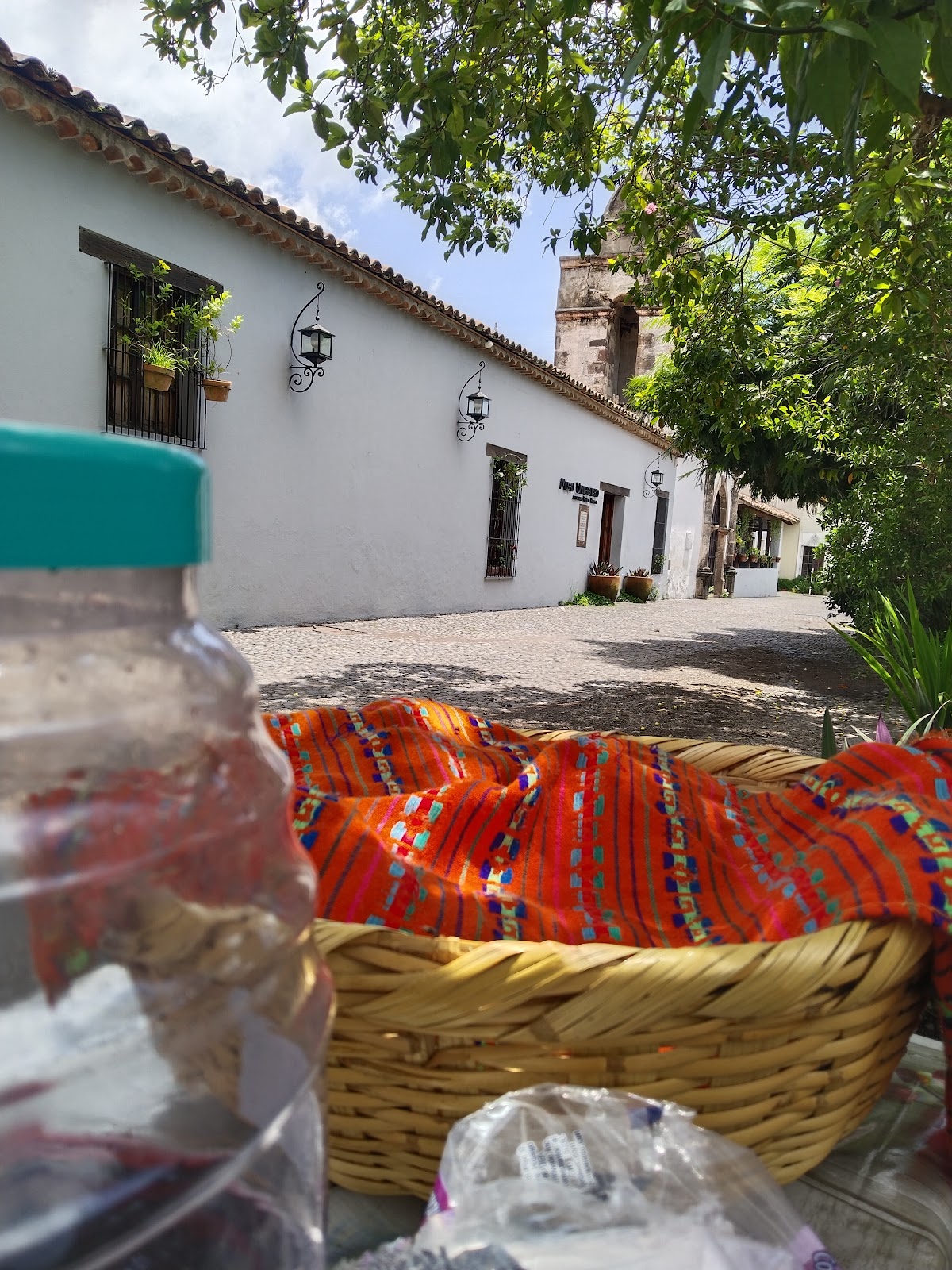 leetx-google-photo-46390-3 leetx-google-photo-46390-3