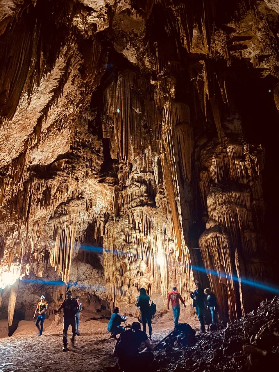 leetx-google-photo-47049-2 leetx-google-photo-47049-2