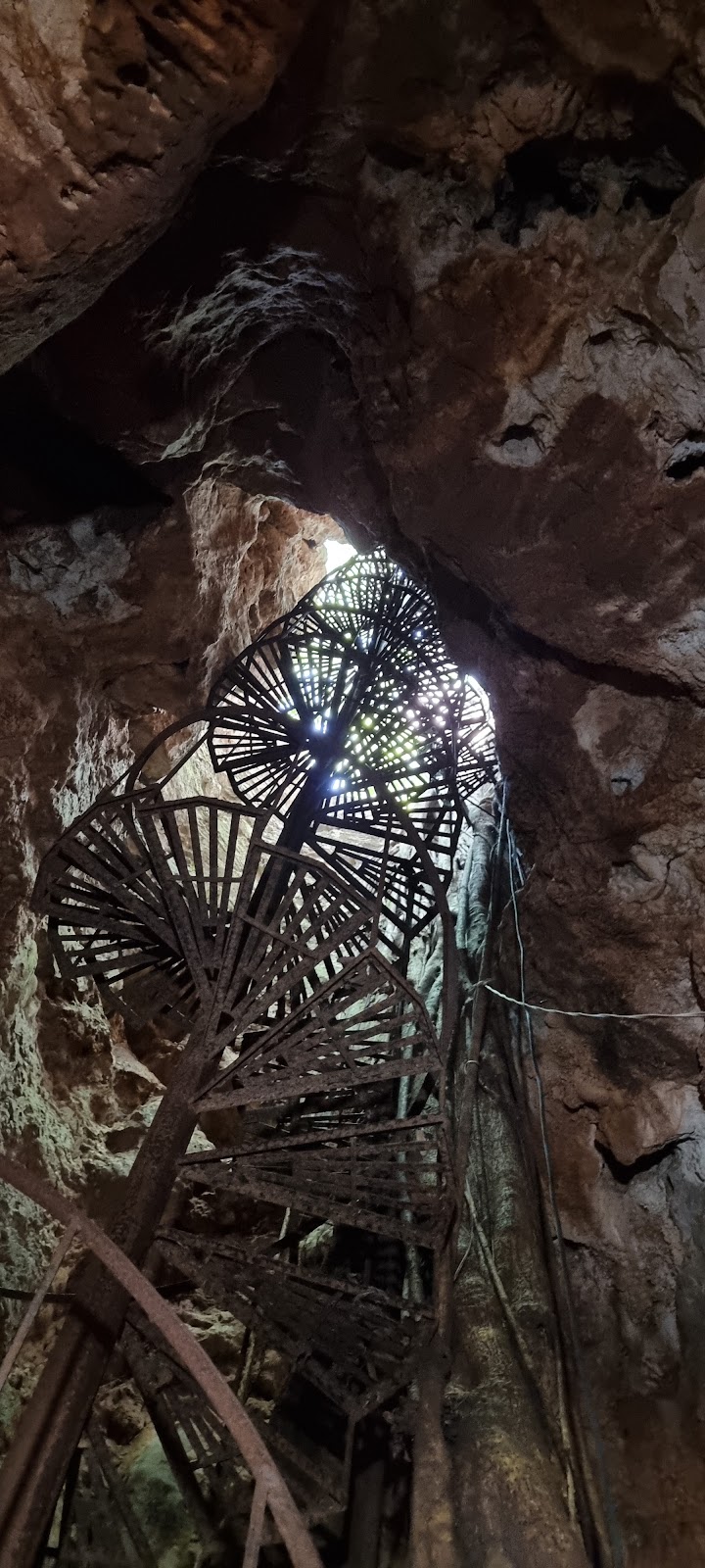 leetx-google-photo-47049-3 leetx-google-photo-47049-3