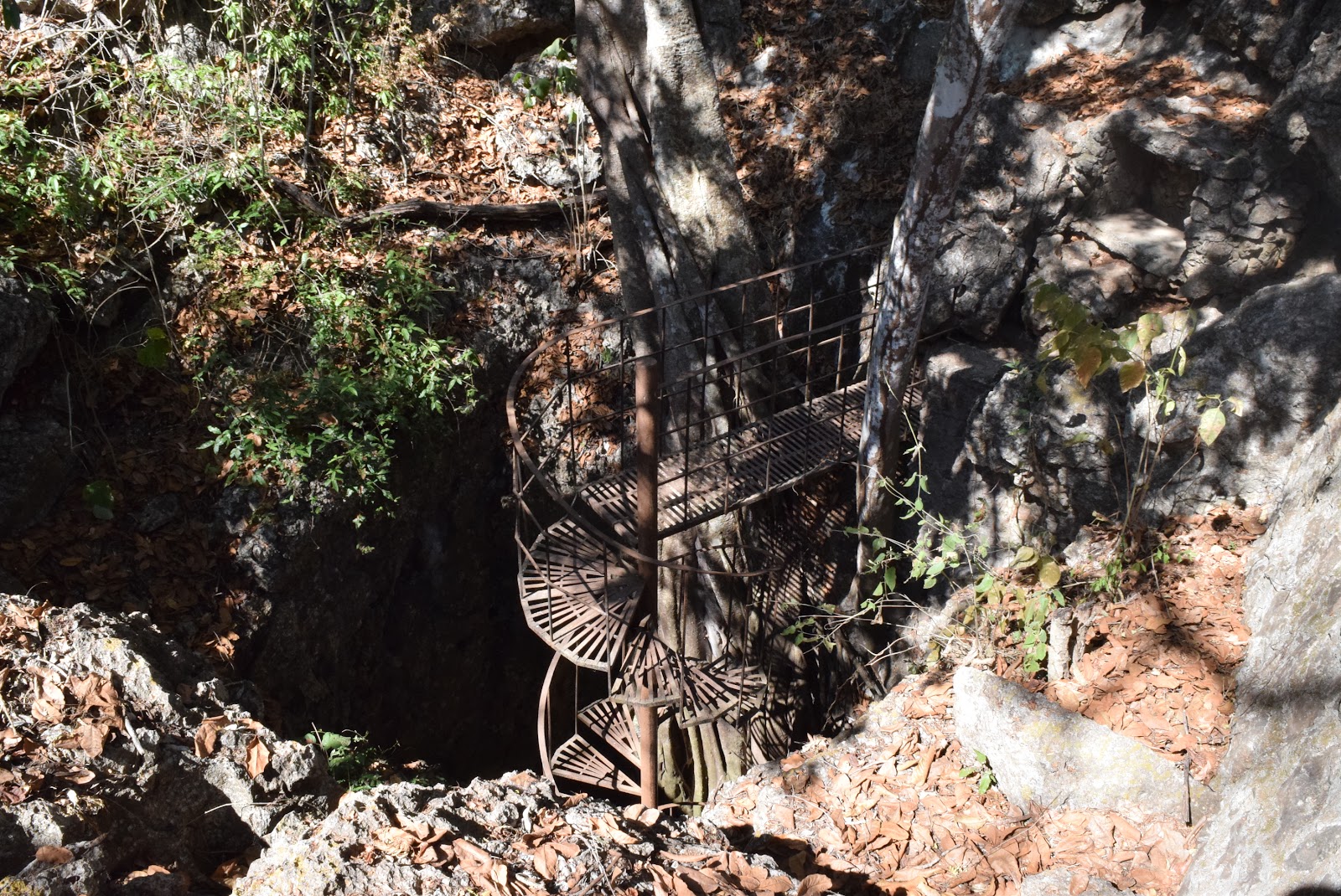 Mario Alberto Castillo Derbez Mario Alberto Castillo Derbez