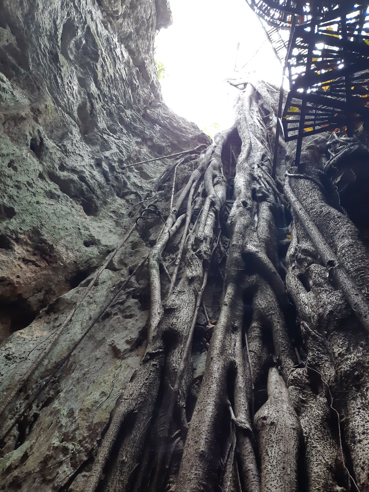 leetx-google-photo-47049-8 leetx-google-photo-47049-8