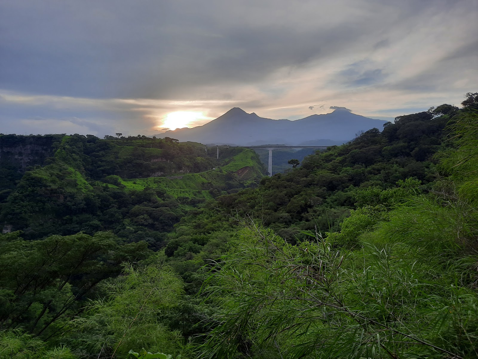 leetx-google-photo-47160-2 leetx-google-photo-47160-2