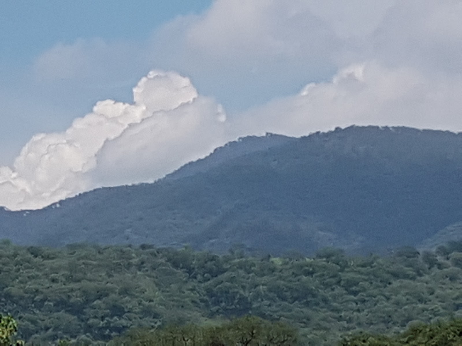 leetx-google-photo-47160-4 leetx-google-photo-47160-4